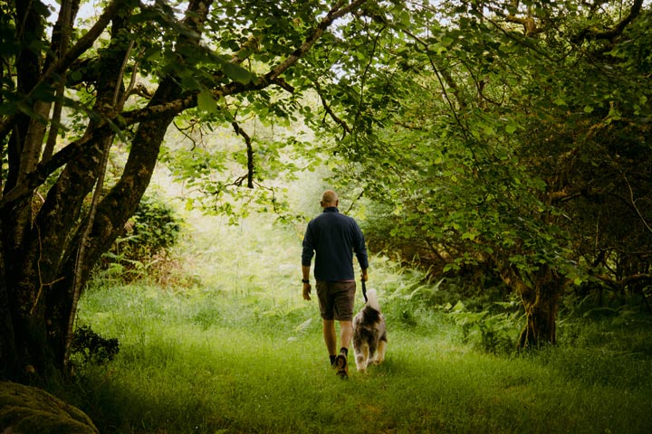 A walks his dog under a canopy of trees.